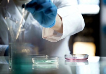 노보텍, 이상지질혈증과 비소세포폐암 관련 글로벌 임상시험 환경 보고서 발표